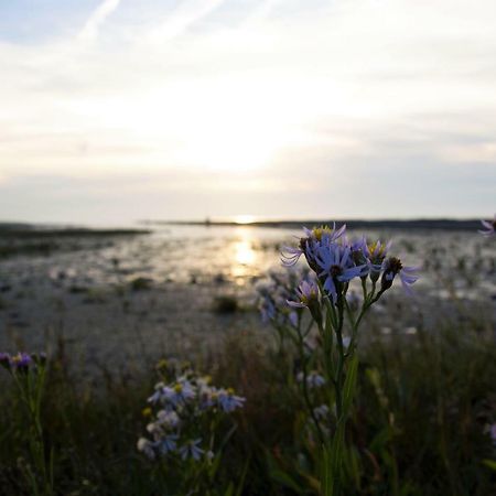 Romantischer Winkel Neuharlingersiel Bagian luar foto