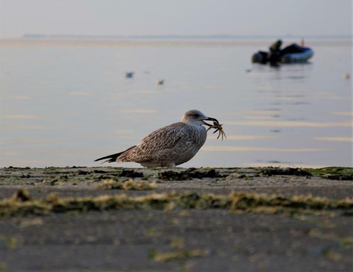 Romantischer Winkel Neuharlingersiel Bagian luar foto