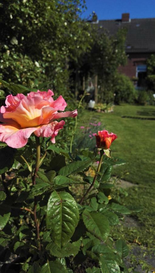 Romantischer Winkel Neuharlingersiel Bagian luar foto